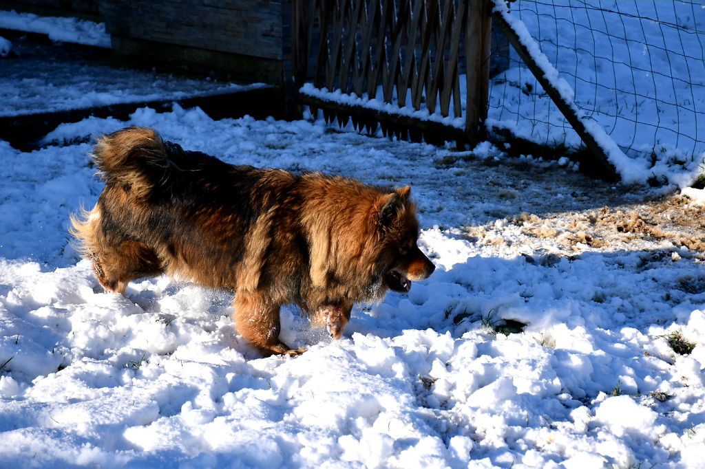 N'joy Des Plaines De Sirius